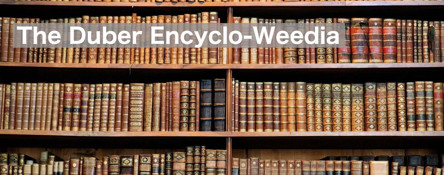 Learn about Weed and Cannabis Terms